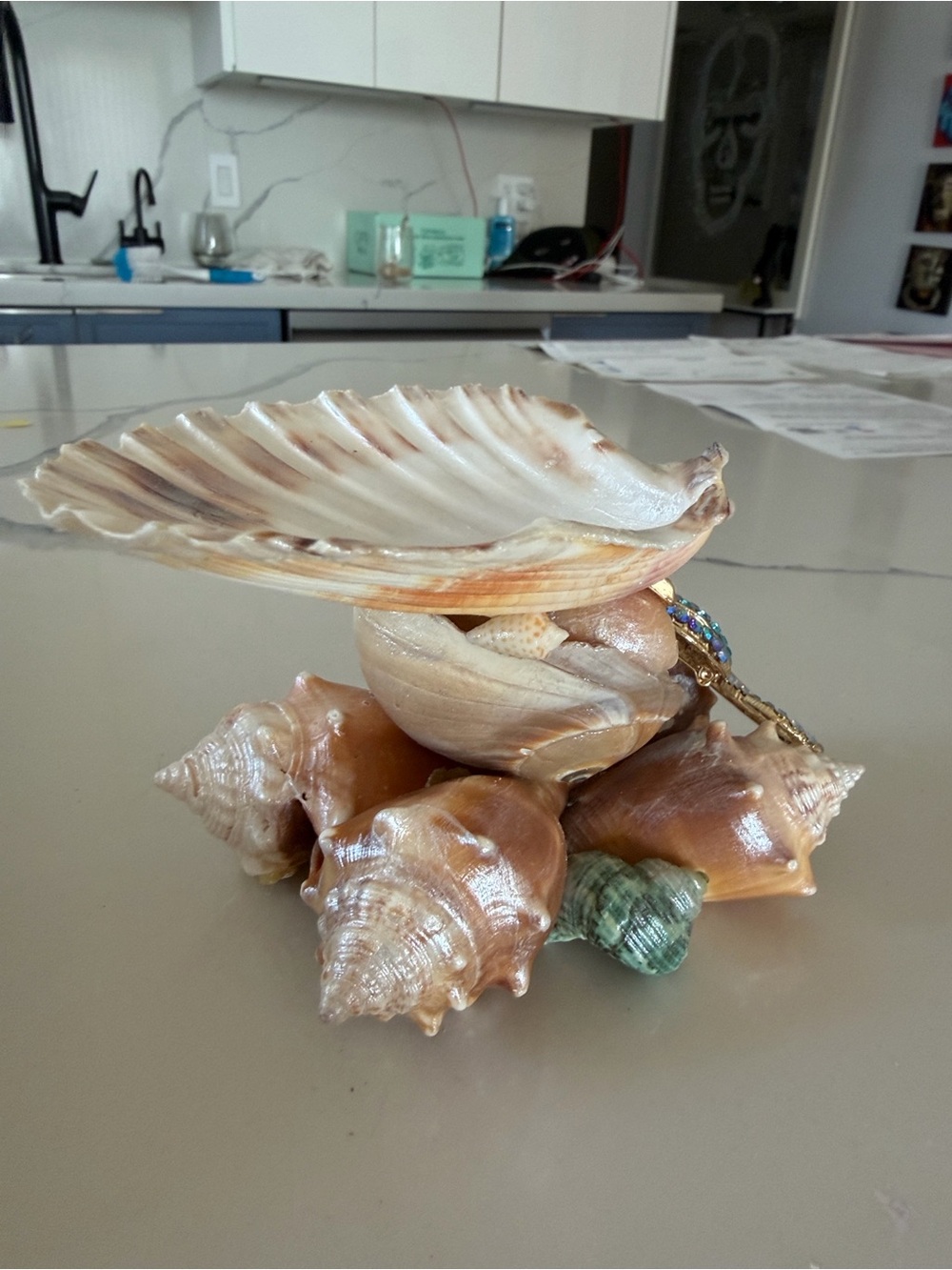 Seashell Decorative Accent Bowl - Natural Brown and Cream - Picture 3 of 7